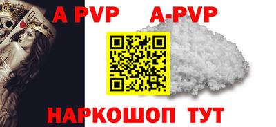 хмурый Кингисепп