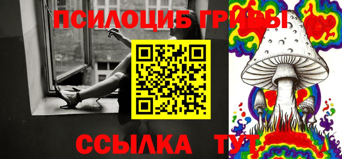 Электросталь  Псилоцибиновые грибы Magic Shrooms  Вход с VPN 